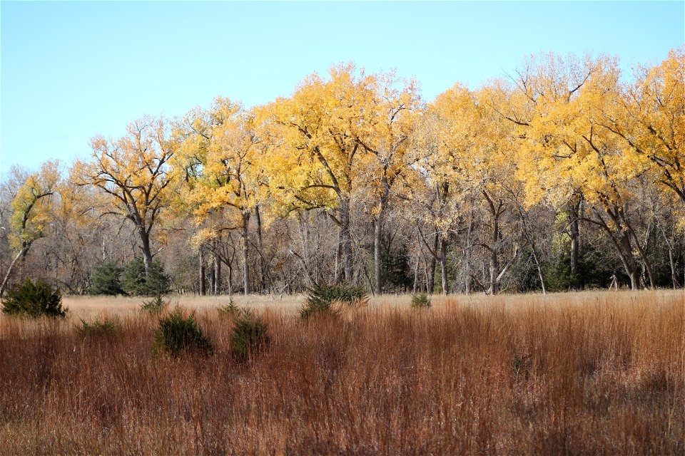 Fall on the Karl E. Mundt National Wildlife Refuge South Dakota