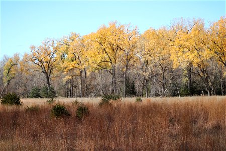 Fall on the Karl E. Mundt National Wildlife Refuge South Dakota photo