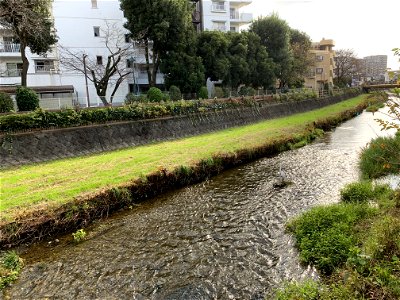 Kurome River in Daimoncho, Higashikurume-shi in November photo