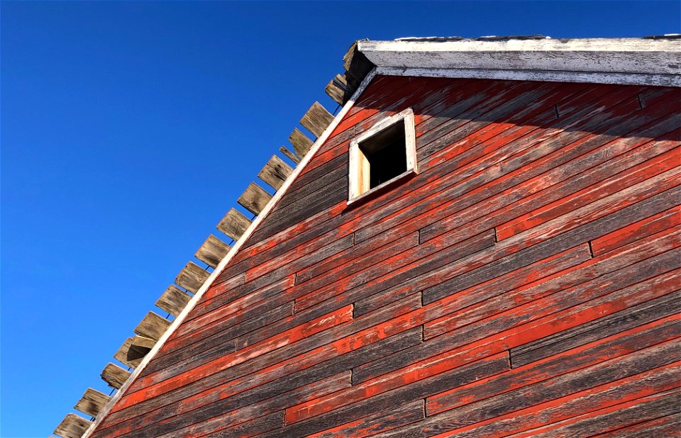 Under the Big Blue Sky