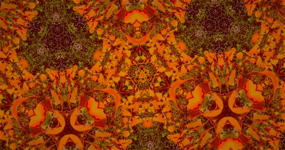 Kaleidoscope211210152341
