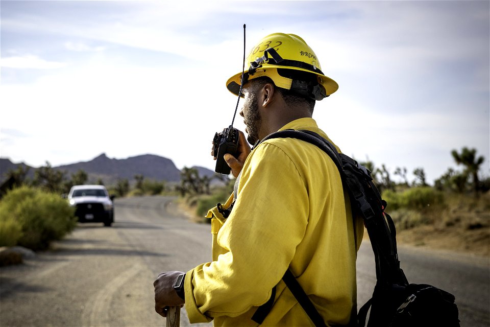 Wildland fire crew near Quail Mountain