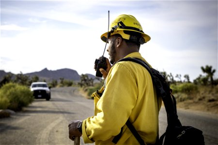 Wildland fire crew near Quail Mountain photo