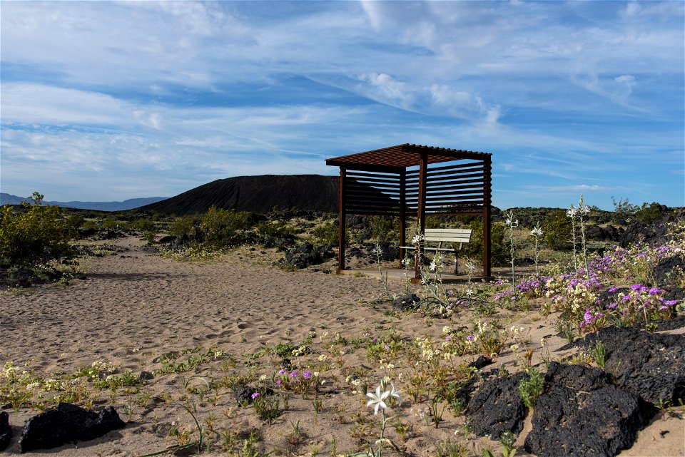 Rest Spot at Amboy Crater photo