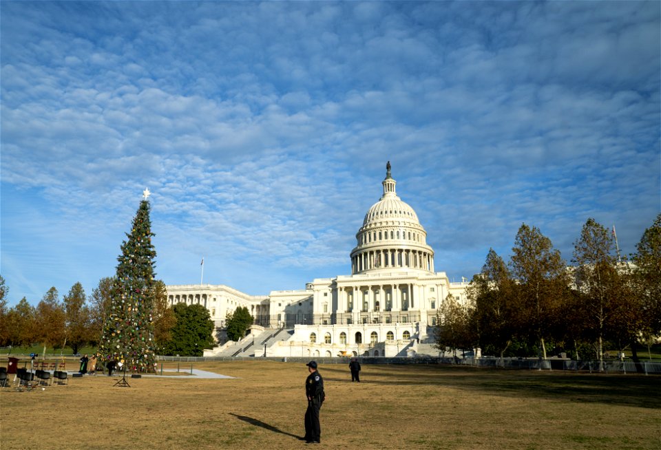 CapitolXmasTreeLighting-WashingtonDC-003