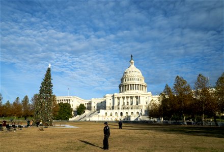 CapitolXmasTreeLighting-WashingtonDC-003 photo