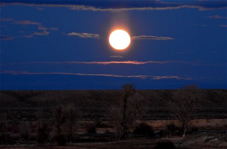 Moon rising at Seedskadee National Wildlife Refuge photo