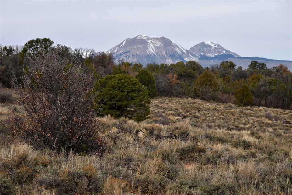 Ray Mesa Prescribed Burn Fall 2021