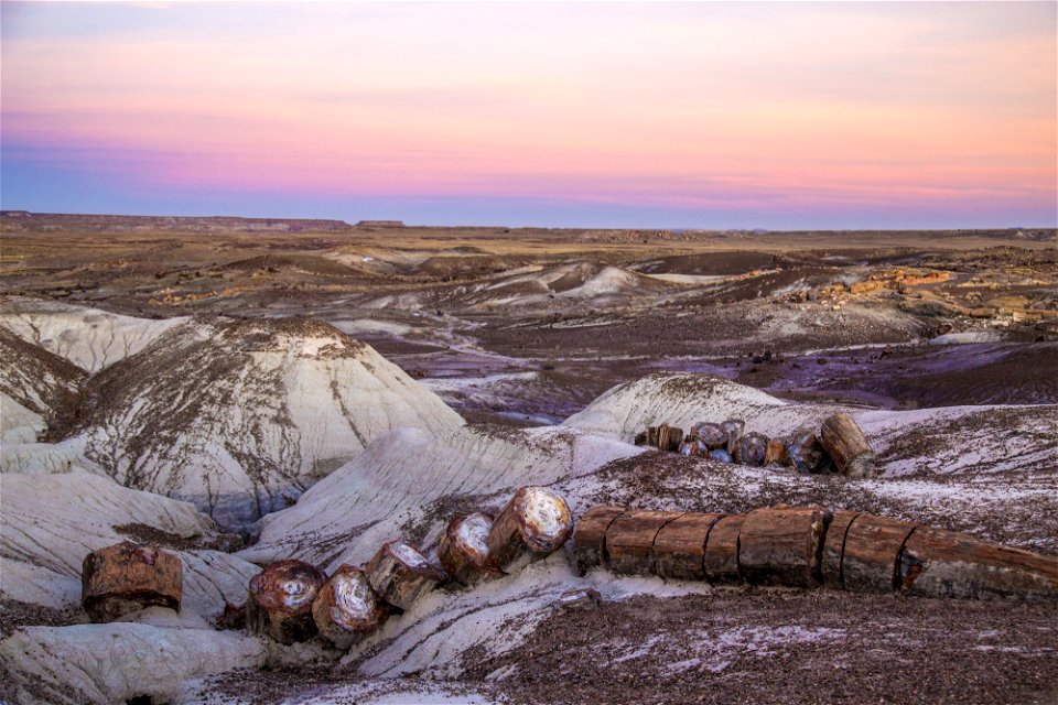 Petrified log, Crystal Forest, NPS-Jacob Holgerson