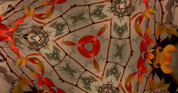Kaleidoscope211210152708