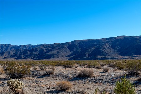 Joshua Tree National Park
