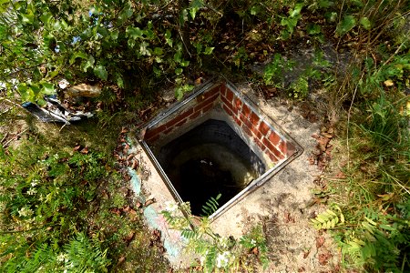 DSC_0506 (2)
