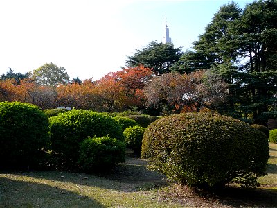 Shinjuku Gyoen National Garden in Shinjuku-ku and Shibuya-ku