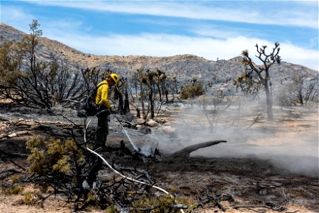 A Firefighter Putting out Hot Spots in a Burned Area of the Elk Fire photo