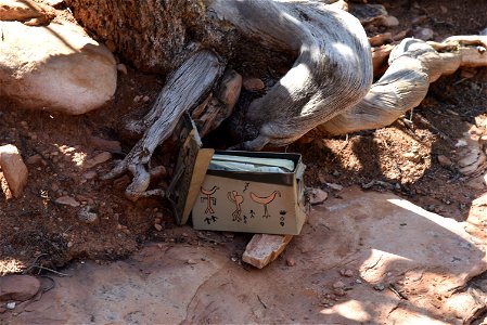 Ammo Box with Site Information photo