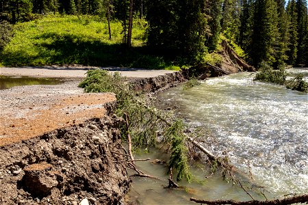 Flood Damage to Warm Creek Picnic Area from Soda Butte Creek. photo