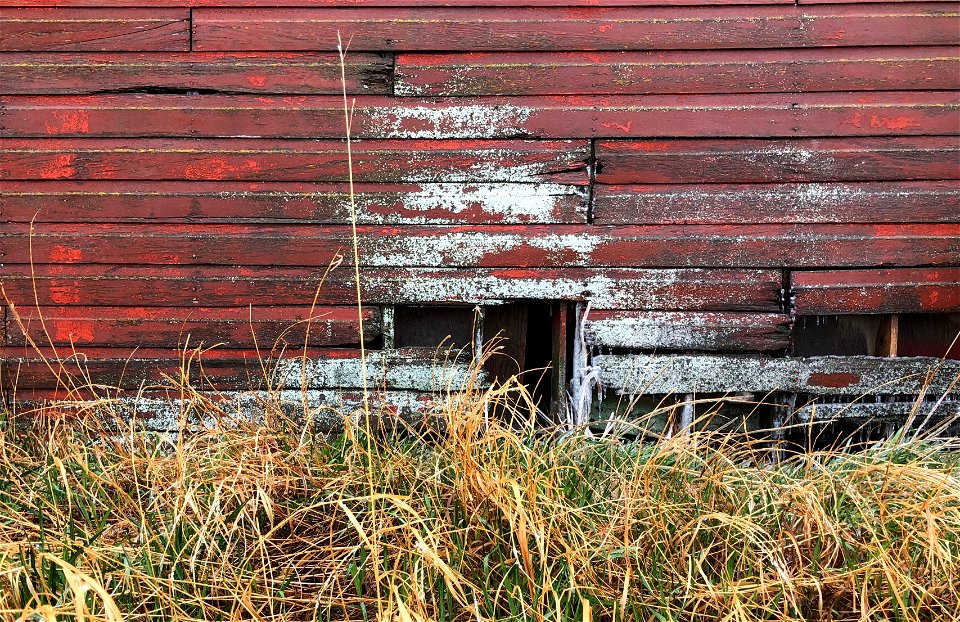 2021/365/141 Barnage