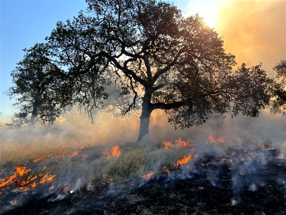 Prescribed fire near Sacramento River Bend Area