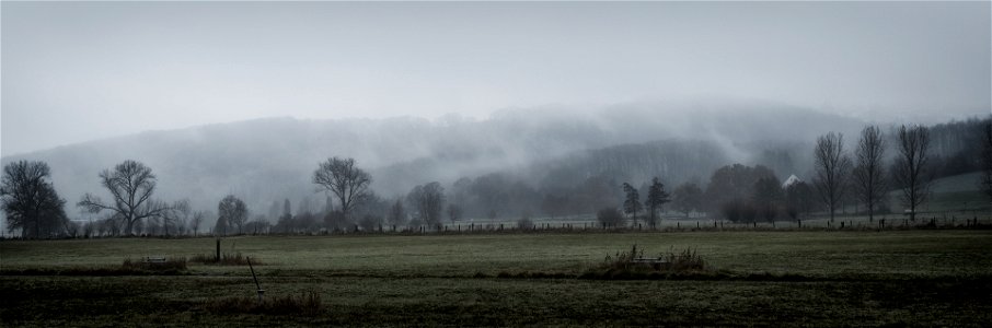 Ruhrwiesen im Nebel photo