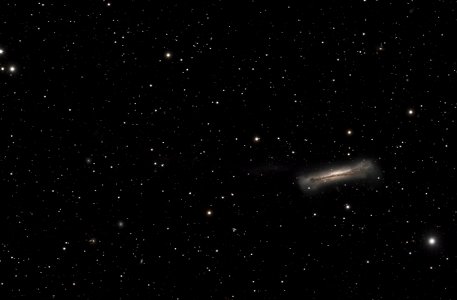 NGC 3628 photo