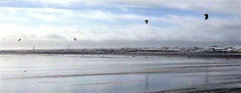 Kite Surfing, Kiteboarding  , Windsurfing , Saunton Sands Beach, Braunton, North Devon, UK  29th January 2022 (Apple Ipod Panoramic Photo)