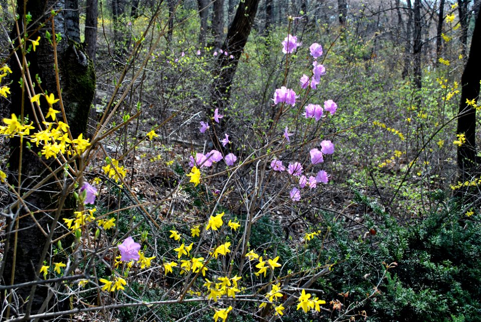 Taejosan Mountain
