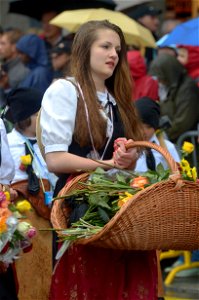 Sechselaüten, Zürich