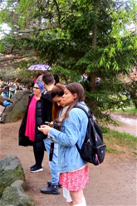 japanes_garden_rain_Herastrau (118)