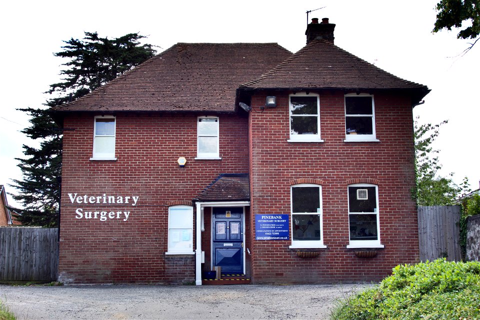 Animal Hospital
