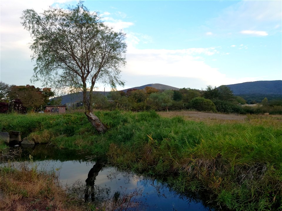 Lake Yamanaka / Hirano-no-hama
