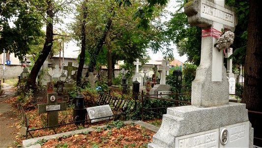 DSC06588