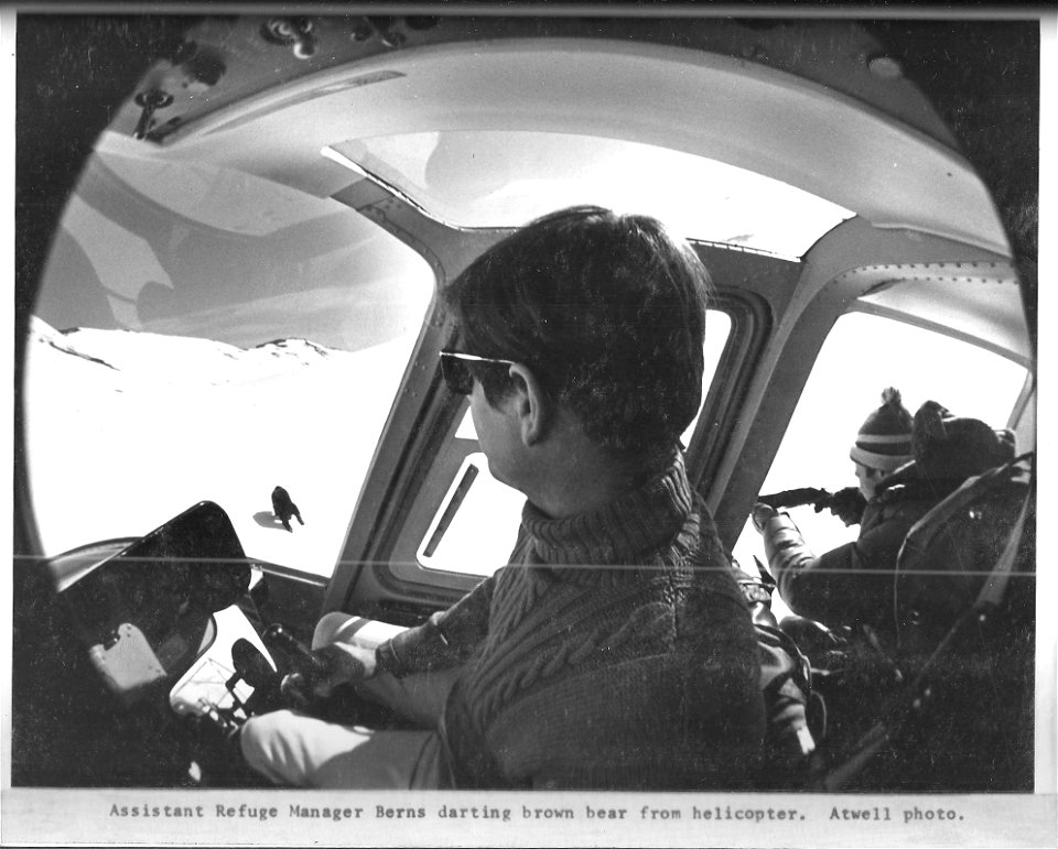 (1972) Fish-Eye Lense Bear Darting