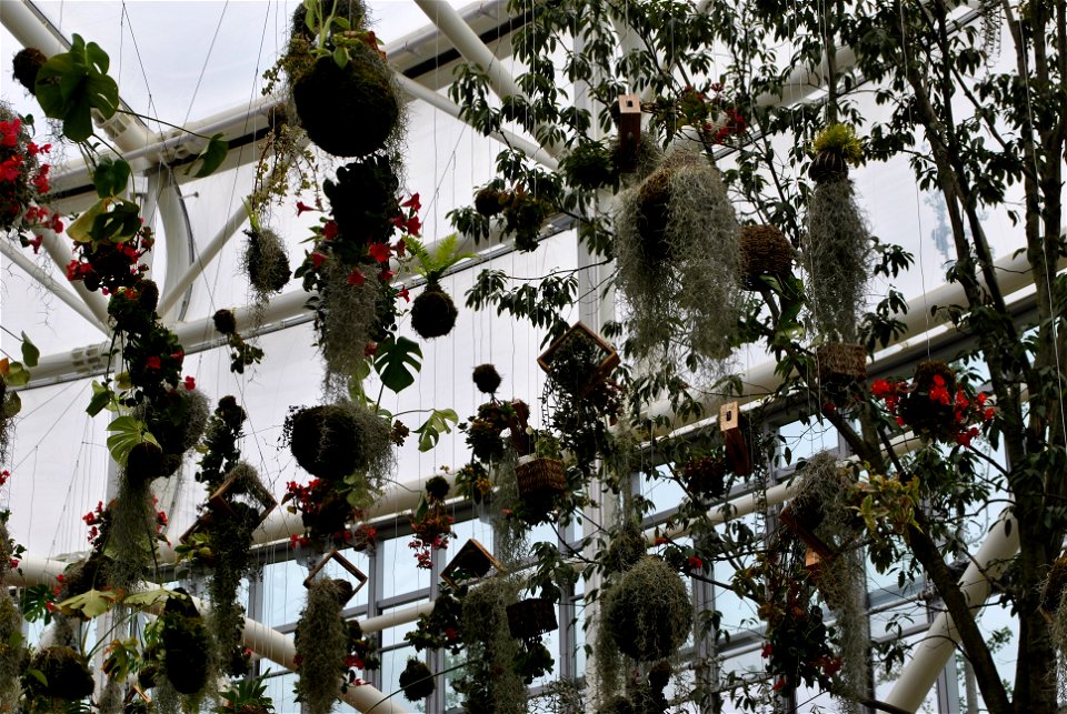 Suncheonman Bay National Garden Expo