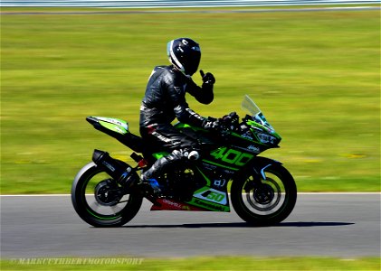 DSC_8691 (2)