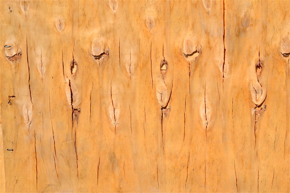 Texture