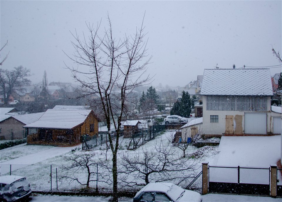 Neiges sur Rosheim