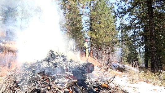 Charcoal Gulch Pile Burn, Idaho City photo
