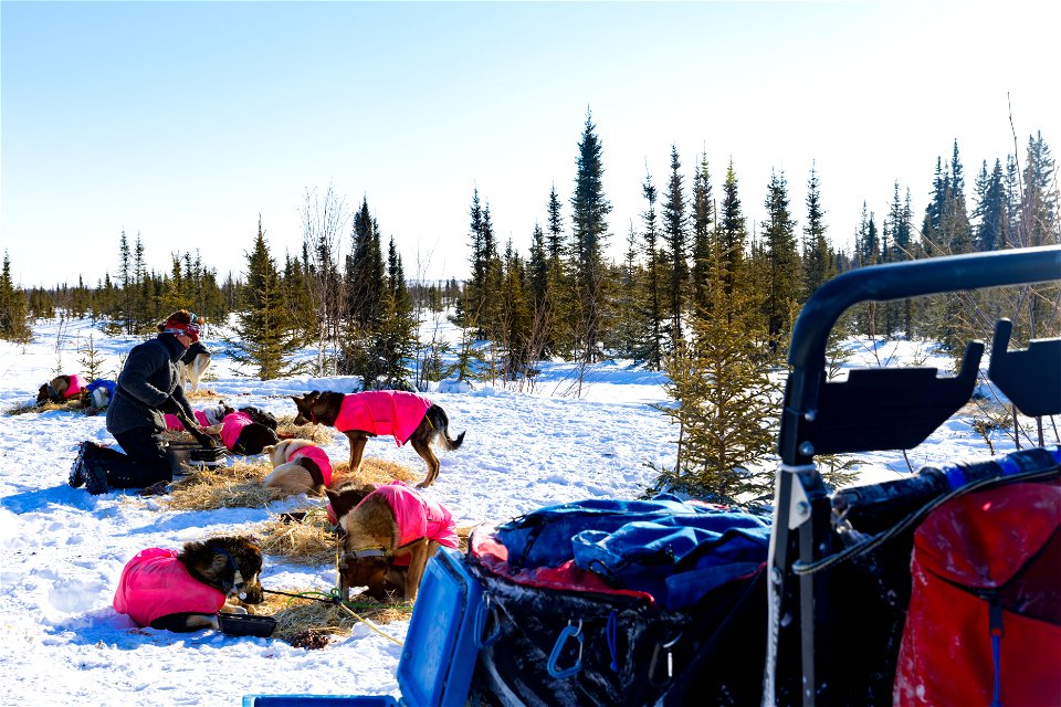 Kobuk 440 racers at Paniqsigvik shelter cabin.