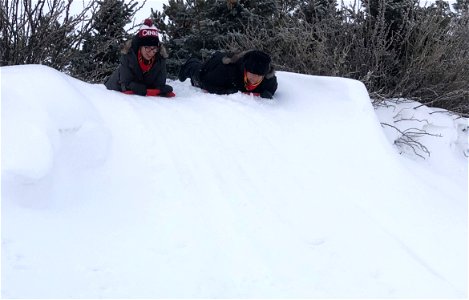 Ready...set...sled!