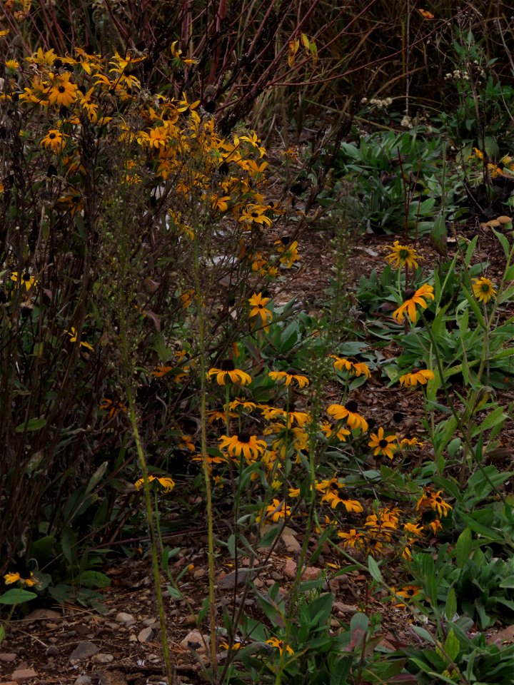 20211012-FS-Superior-SAR-014