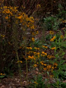20211012-FS-Superior-SAR-014