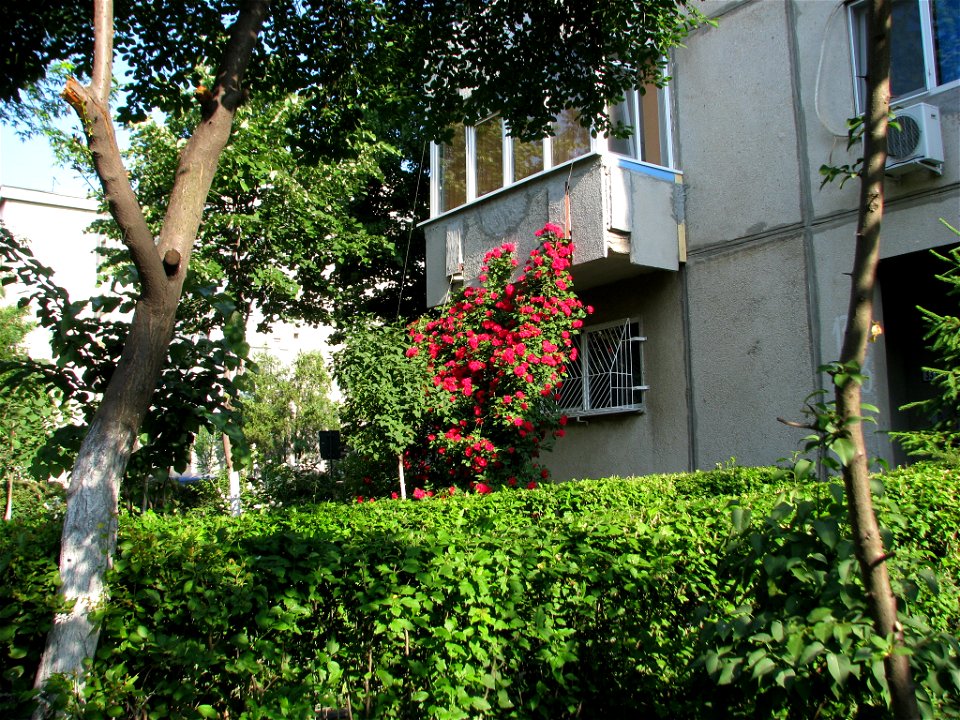 flAviatiei2009_0521_073136