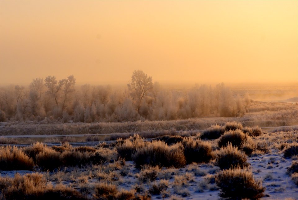 Hoar frost along the Green River at Seedsakdee NWR