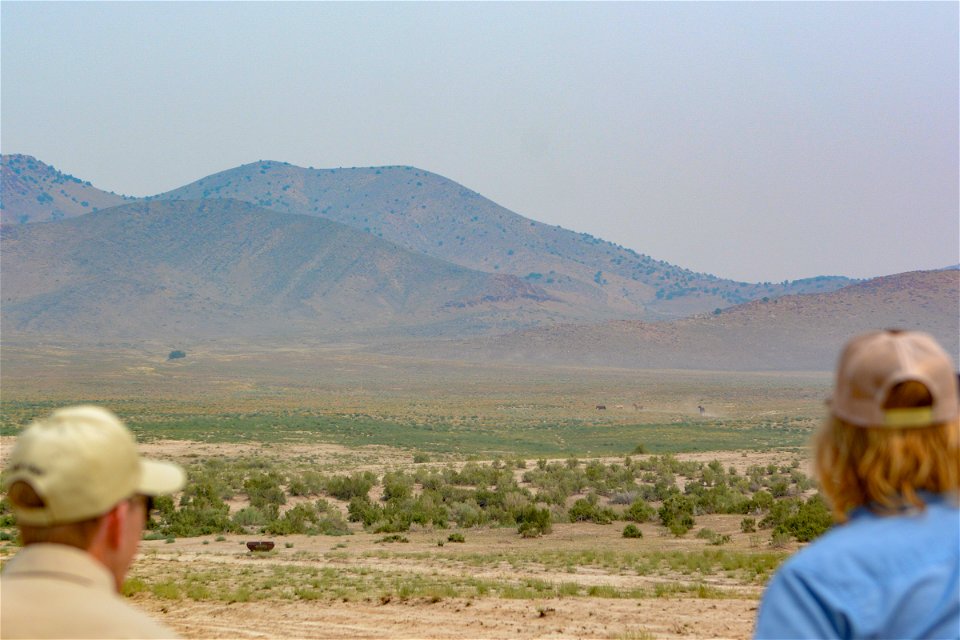 2021 Onaqui Herd Management Area