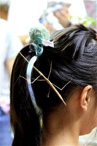 2023/6/4 Niceday森林祭親子生態觀察