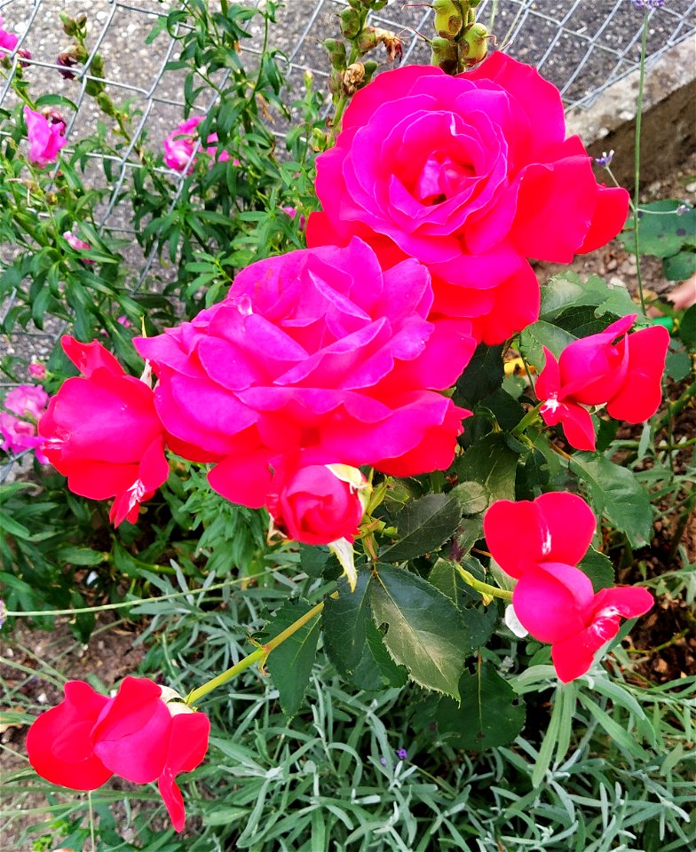 IMG_20220722_204308