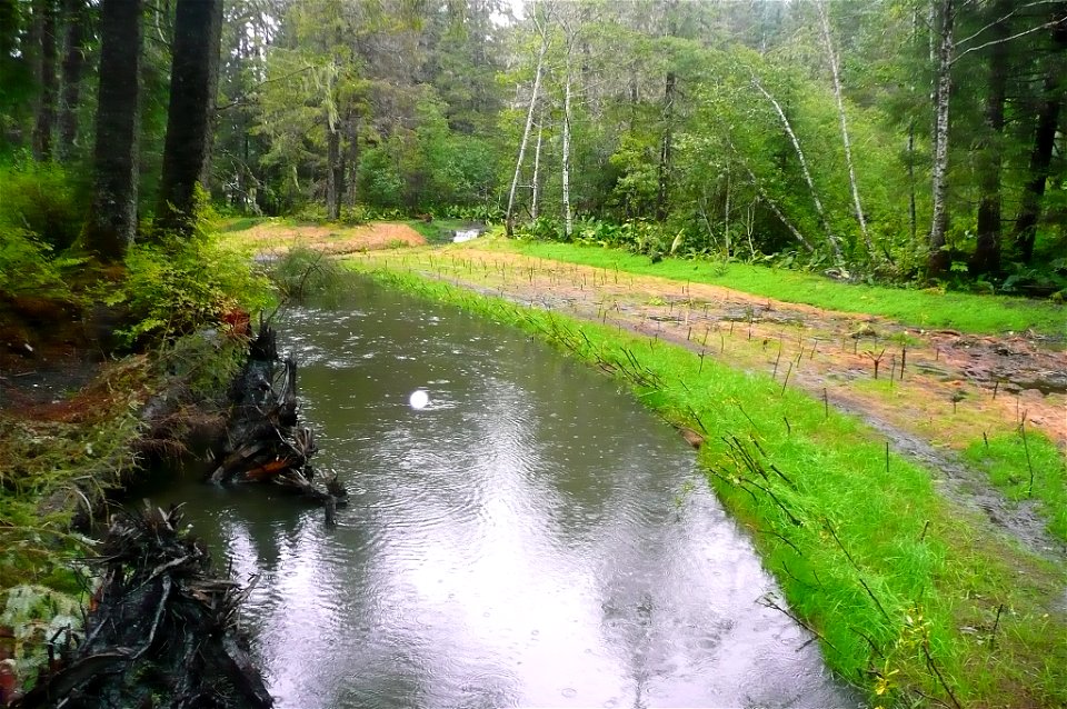 Channel rehabilitation project on Jordan Creek, Juneau, Alaska.