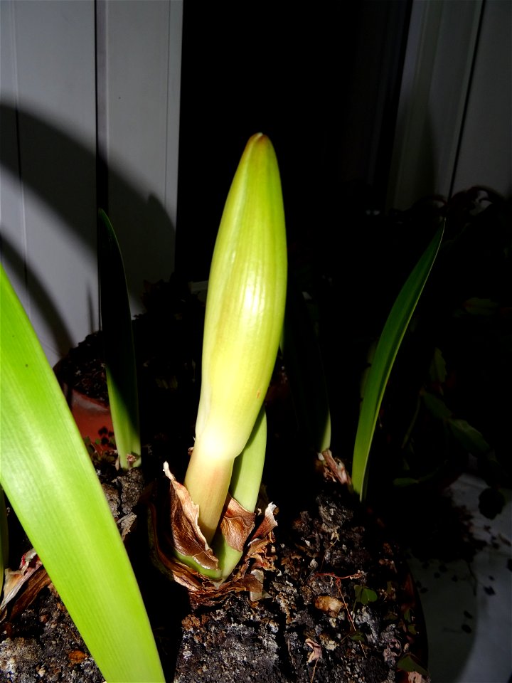 testing SonyHX-60 (23)