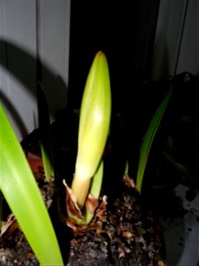 testing SonyHX-60 (23)