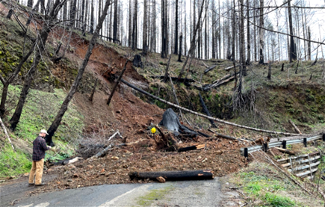 Post-fire landslide on FR 45, Mt. Hood National Forest